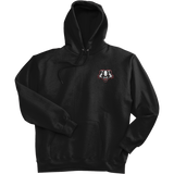 Scary Badgers Super Heavyweight Fleece Hoodie